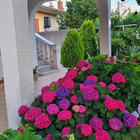 Apartment Nina Нови-Винодолски Экстерьер фото