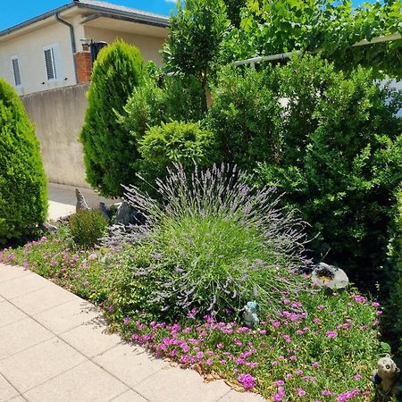 Apartment Nina Нови-Винодолски Экстерьер фото