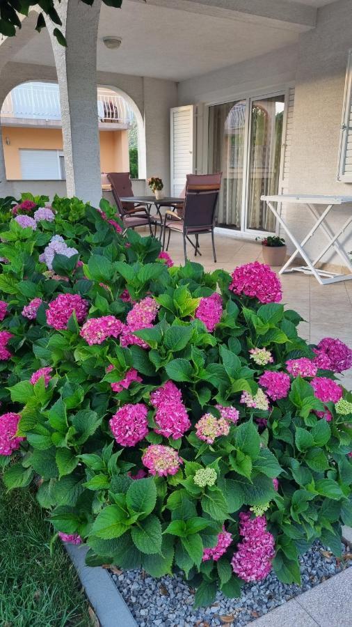 Apartment Nina Нови-Винодолски Экстерьер фото