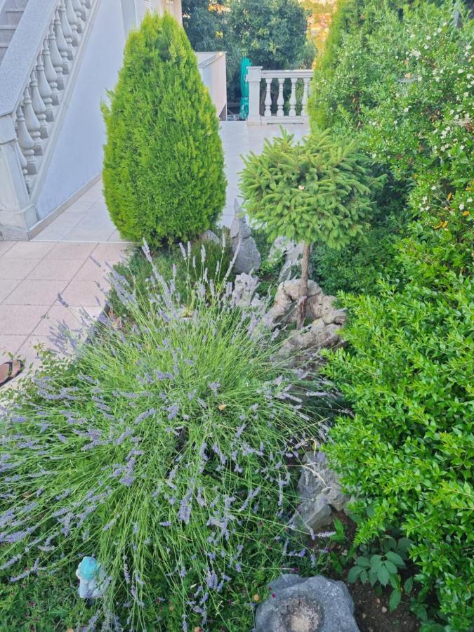 Apartment Nina Нови-Винодолски Экстерьер фото